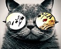Avatar du membre