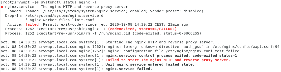 nginx.PNG