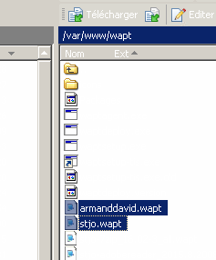 wapt.png