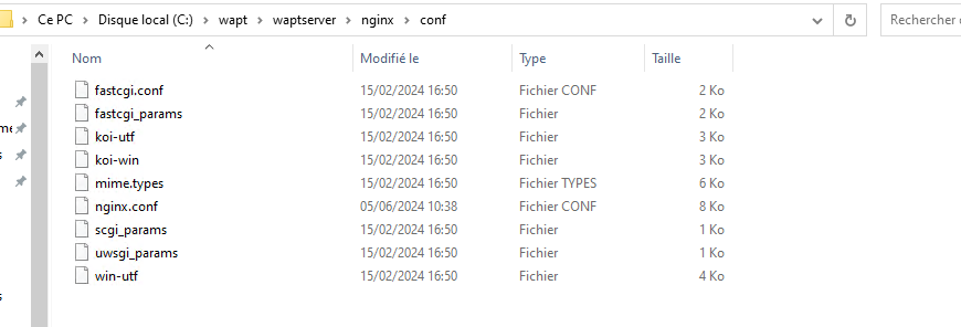 servicionginx.png