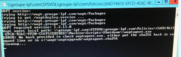 Cuando ejecuto manualmente el ejecutable waptdeploy, aparece este mensaje: