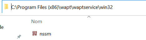 agente wapt.png