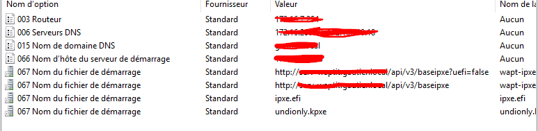 Opción de configuración de DHCP.png