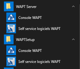 Consola wapt.png