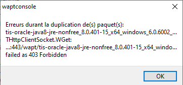 Errore Java WAPT.png