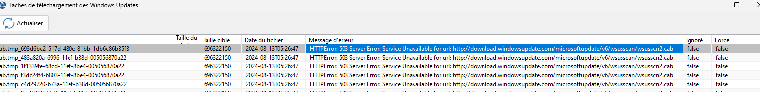 HTTPError: 503 Errore del server