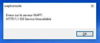 errore wapt.jpg