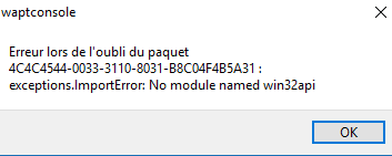 errore wapt.PNG