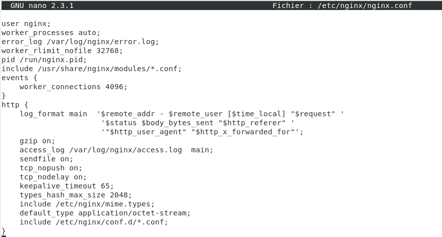 configurazione nginx.conf.PNG