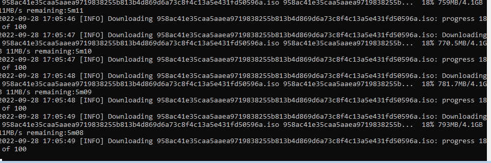 Scarica iso.png